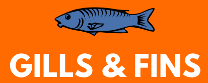 GILLS N FINS
